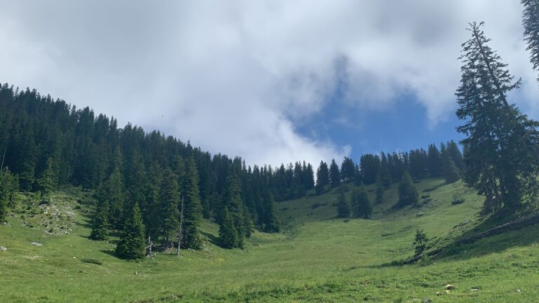 Top de Rutas Imperdibles en tu Agenda de Viajes con Caravana